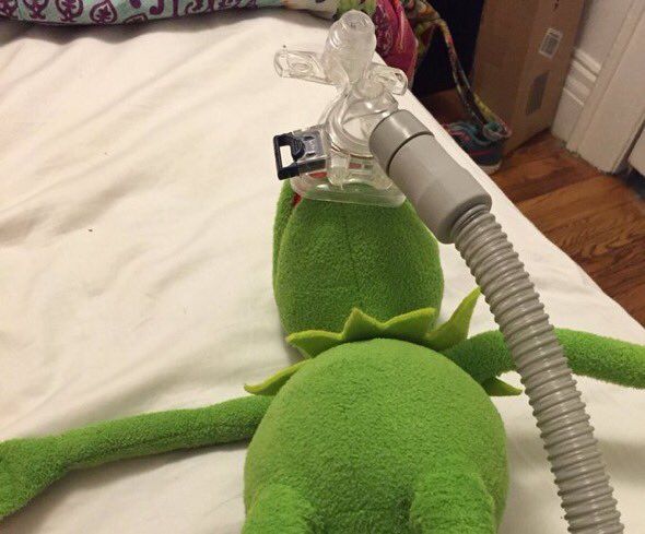 Nocturna en Twitter: &amp;quot;�Mira, colibr�, si quieres que esto salga bien, vas a  tener que confiar en m��. Os presentamos a Shoana, la ladrona de sue�os de  #ElImperioDelSue�o&amp;#9732;&amp;#65039; (@LauraTarraga4, 21/5). Ilustraci�n: @ThanatosOfNicte.