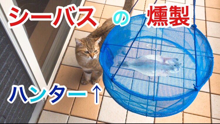 car_nel2's tweet photo. 釣ったシーバスを燻製に、
youtube動画投稿しました。
https://t.co/m6rMzTLidc
#youtube #YouTubeチャンネル登録1000人 #チャンネル登録 #チャンネル登録お願いします #釣り #fishing #釣魚料理 #干物 #燻製 #ネコ #フィッシュソープ https://t.co/Btwdi6z2pB