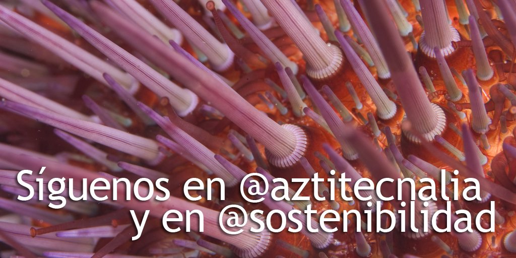 Esta cuenta va a desaparecer. Puedes seguir estando al día sobre la innovación marina y pesquera en <a href="/aztitecnalia/">AZTI (perfil viejo)</a> y en <a href="/sostenibilidad/">Sostenibilidad</a> Esperamos seguir contando contigo.