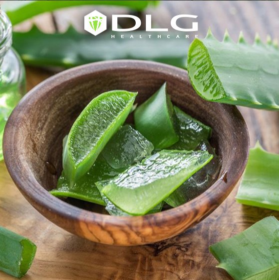 dlg_world's tweet photo. Aloe Vera contains over 200 active components,
ALOE VERA JUS PREMIUM
PURIFY, CLEANSE, AND DETOXIFY
THE ORGANISM FROM WITHIN
#aloevera #dlgteam #dlgworld #dlg #dlgroup #successstory #team #strong #cosmetic #beauty #beautyforever #foreveryoung #foreverstrong #healthcare https://t.co/PJ2W3cDGGR