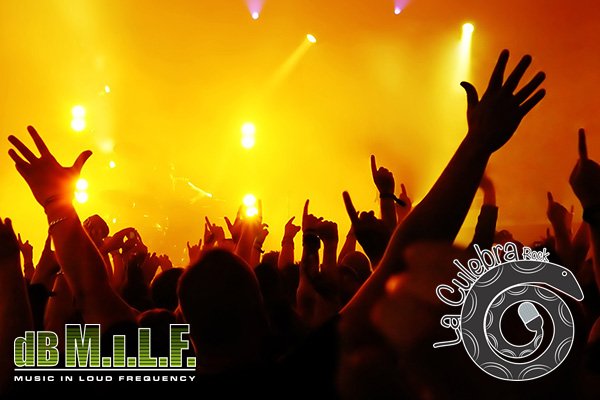 laculebrarock's tweet photo. Idioma #español y ritmos latinos del #rock #LaCulebra #MusicInLoudFrequency https://t.co/rXCvXBQuuu 8:00 _dBMILF_ https://t.co/rDPlndpS6k