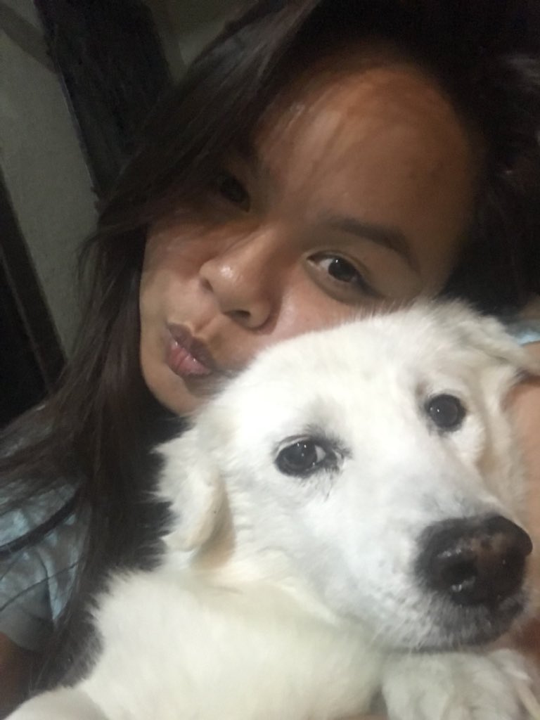 leaolivarr's tweet photo. 🐶💖 https://t.co/gZKv89EGVW