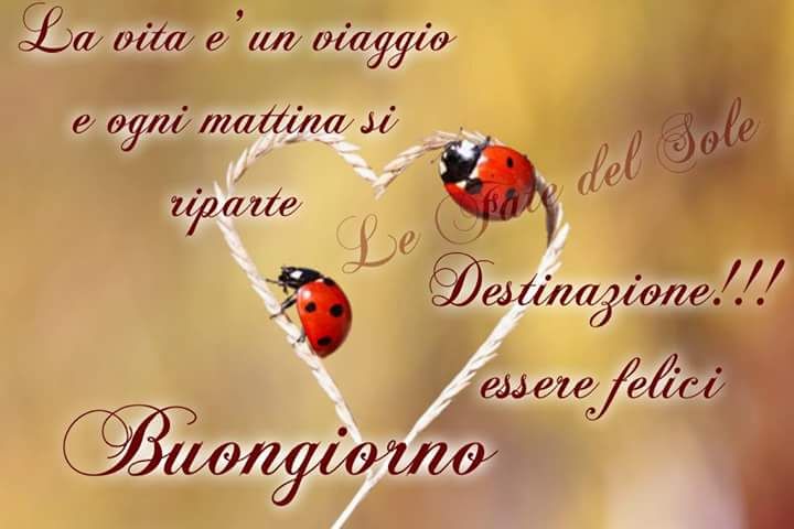 Maria Castiello La Felicita Sta Nelle Piccole Cose Buona Giornata A Tutti Voi Amici