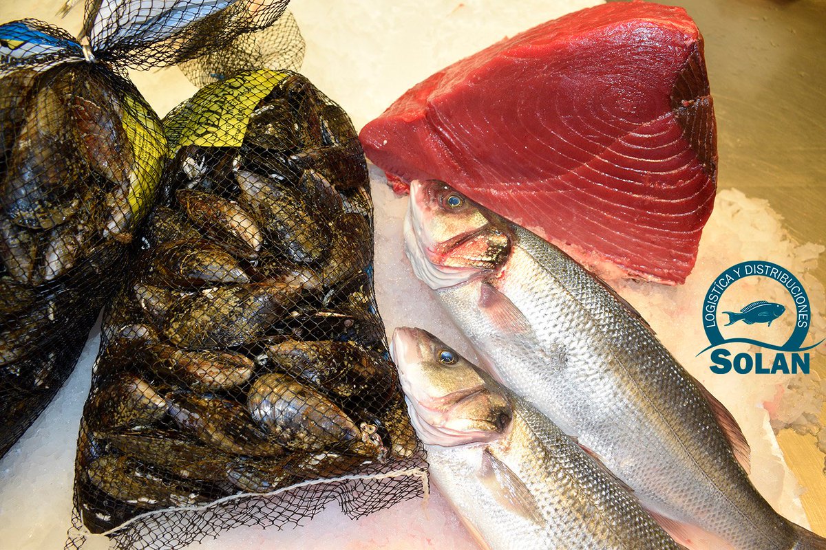 SolanLyD's tweet photo. ¡A mitad de semana! Seguimos trabajando para hacerte llegar el mejor producto fresco de mar. Llámanos y haz tu pedido. #solan #miercoles #seafood https://t.co/00QRA4U5ka