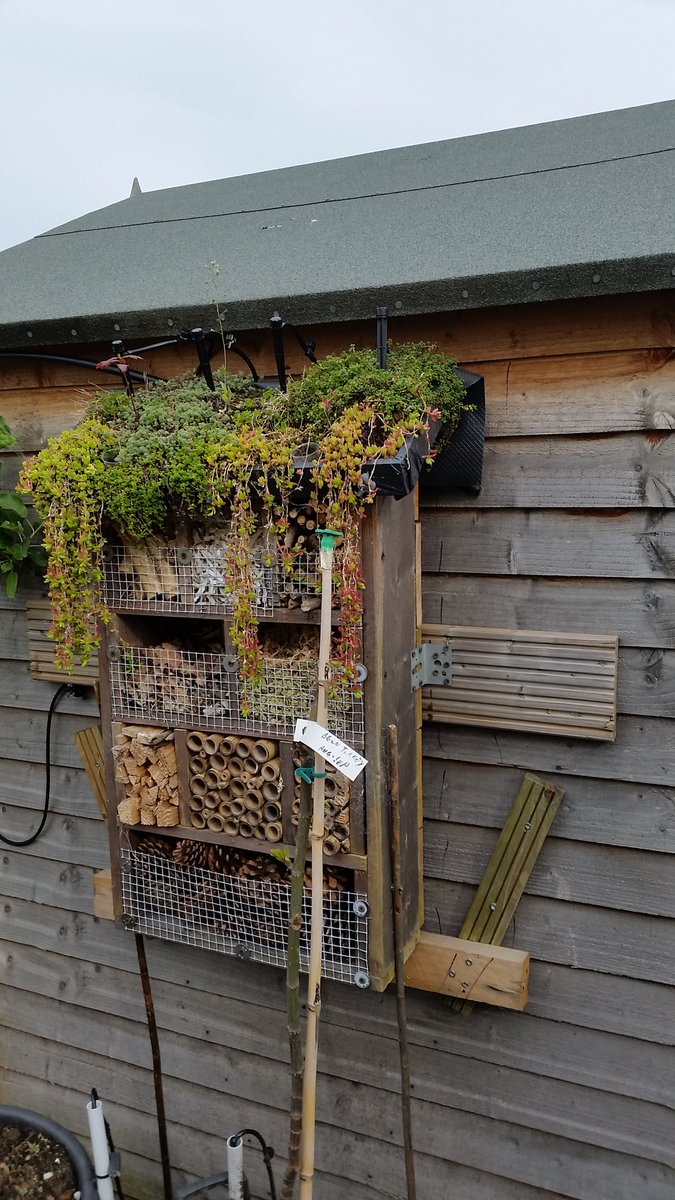 Bug Hotel