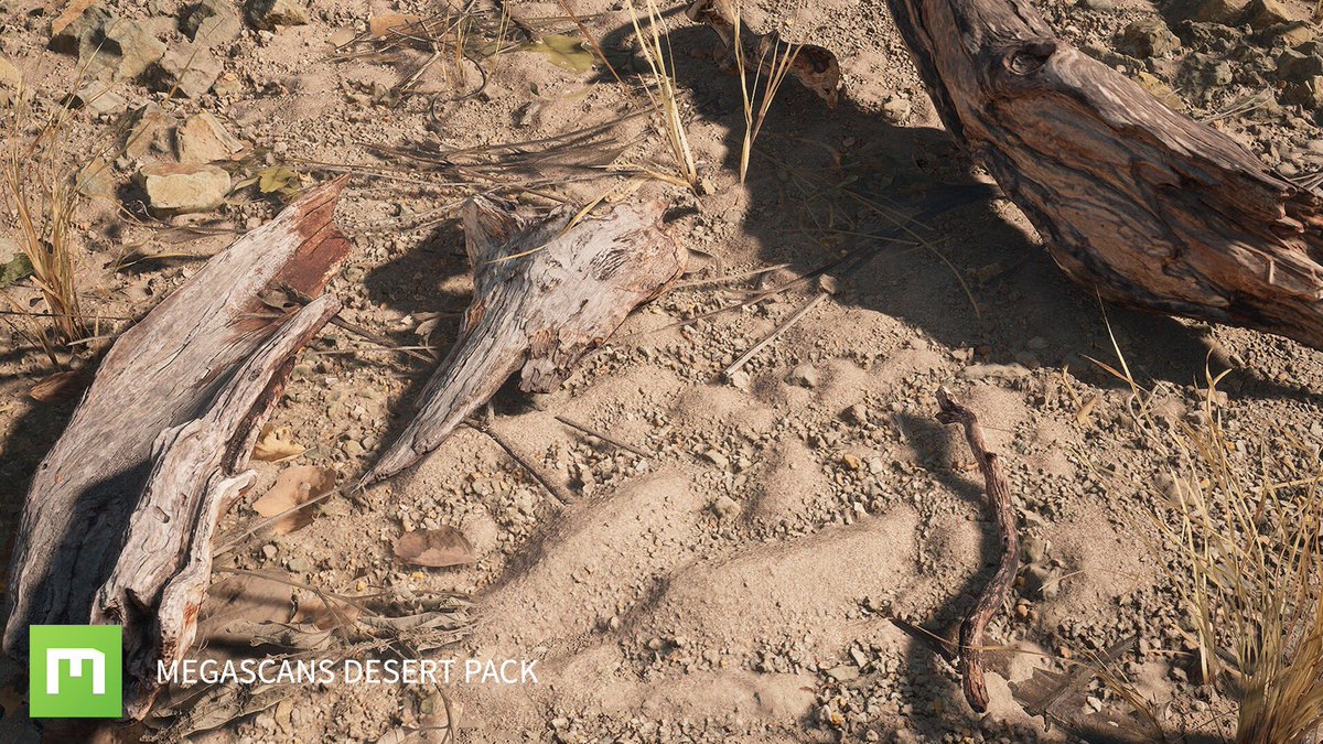 quixeltools's tweet photo. The new Megascans Desert Pack is now available on the UE4 Marketplace!
https://t.co/t5TTqt2z0q
Supporting engine versions 4.18-4.19, this premium collection of assets contains everything you need to create a desolate desert scene.
#quixel #megascans #desertpack #ue4 https://t.co/0JJosTmkd9