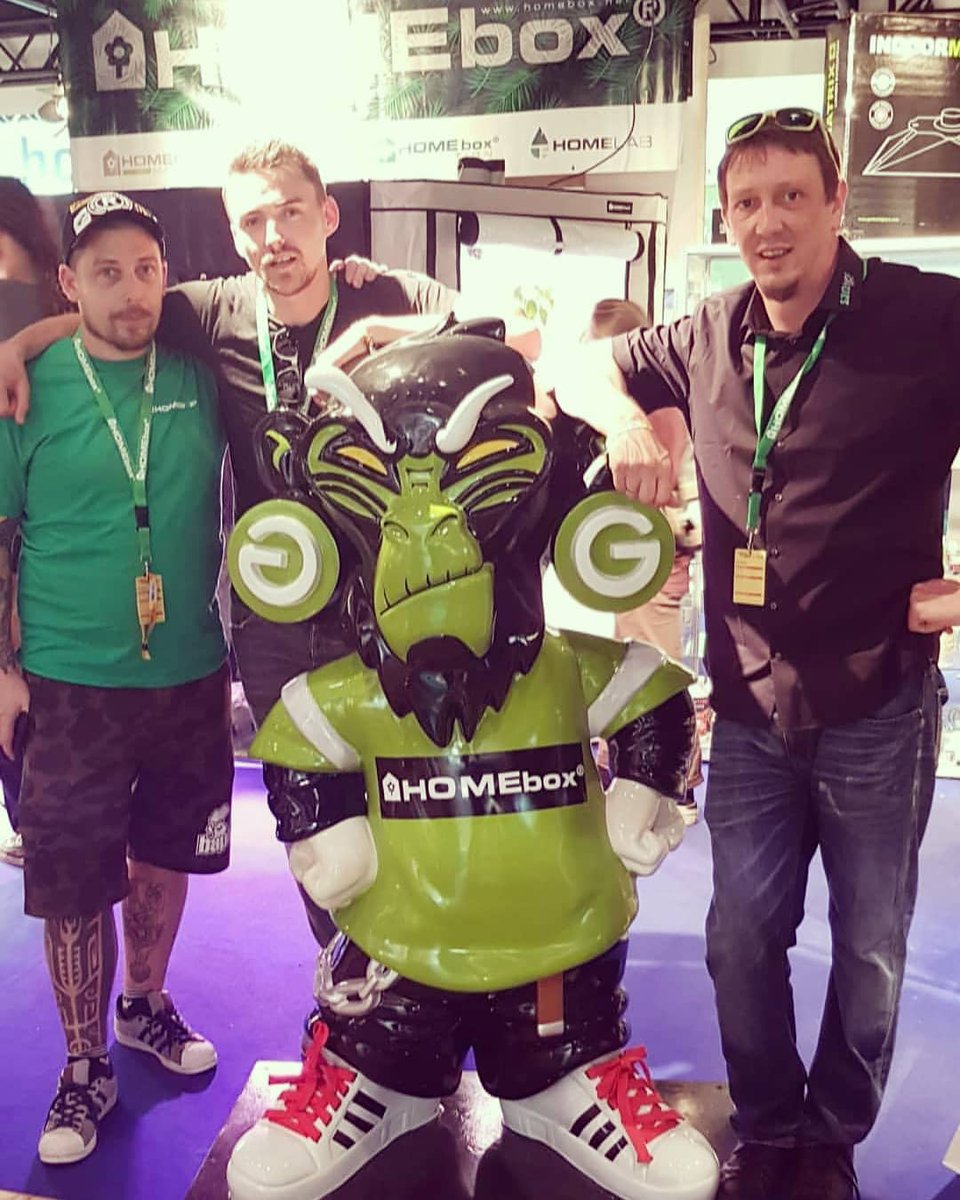 SANlight tweet media