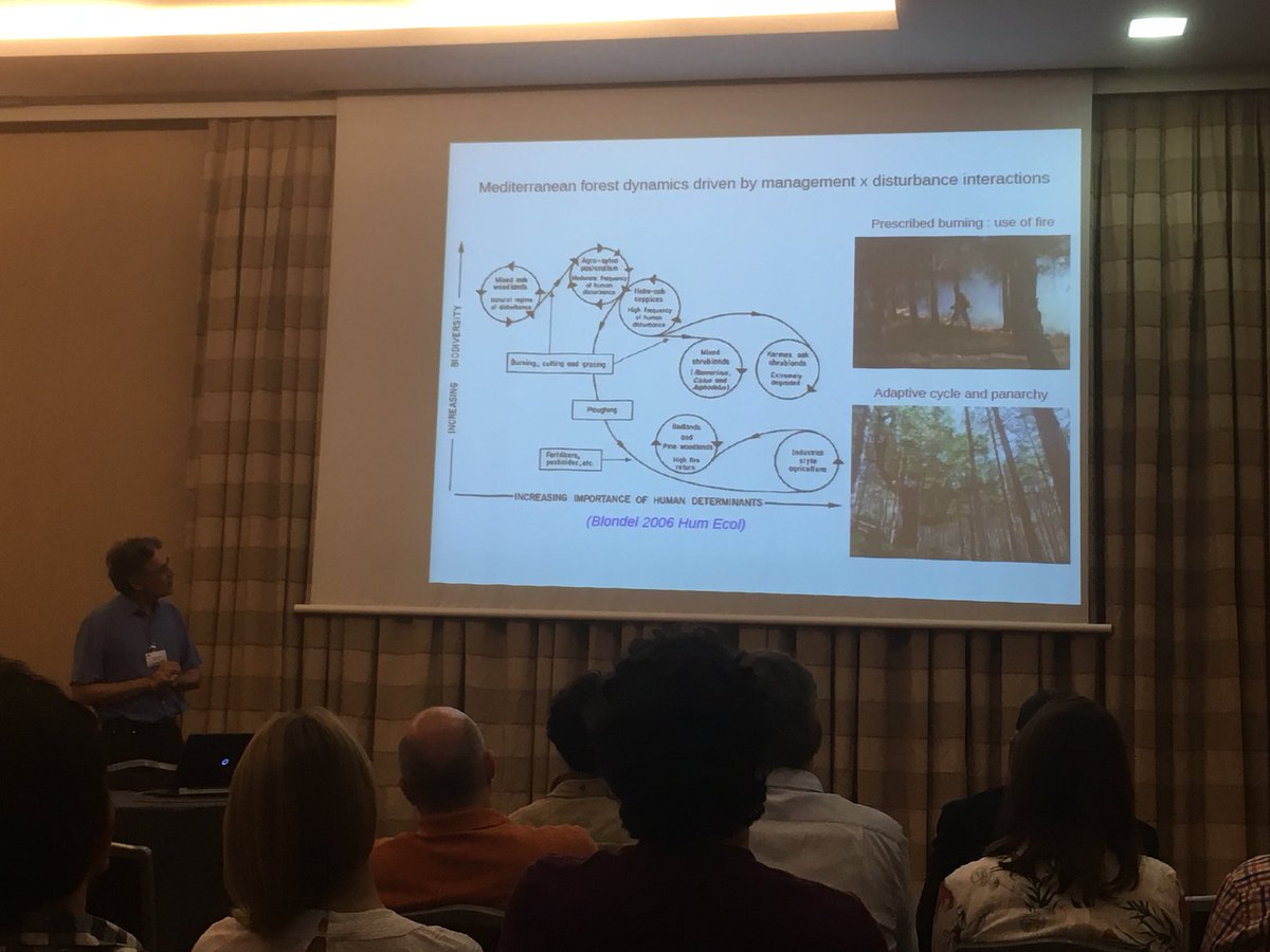 fidbosc's tweet photo. Dr F. Lefèvre (@Inra_France) in the final meeting of the Informed project (Era-Net Foresterra) held in Zagreb #foresterra #resilience @ctforestal https://t.co/IuZIF7Ppnf
