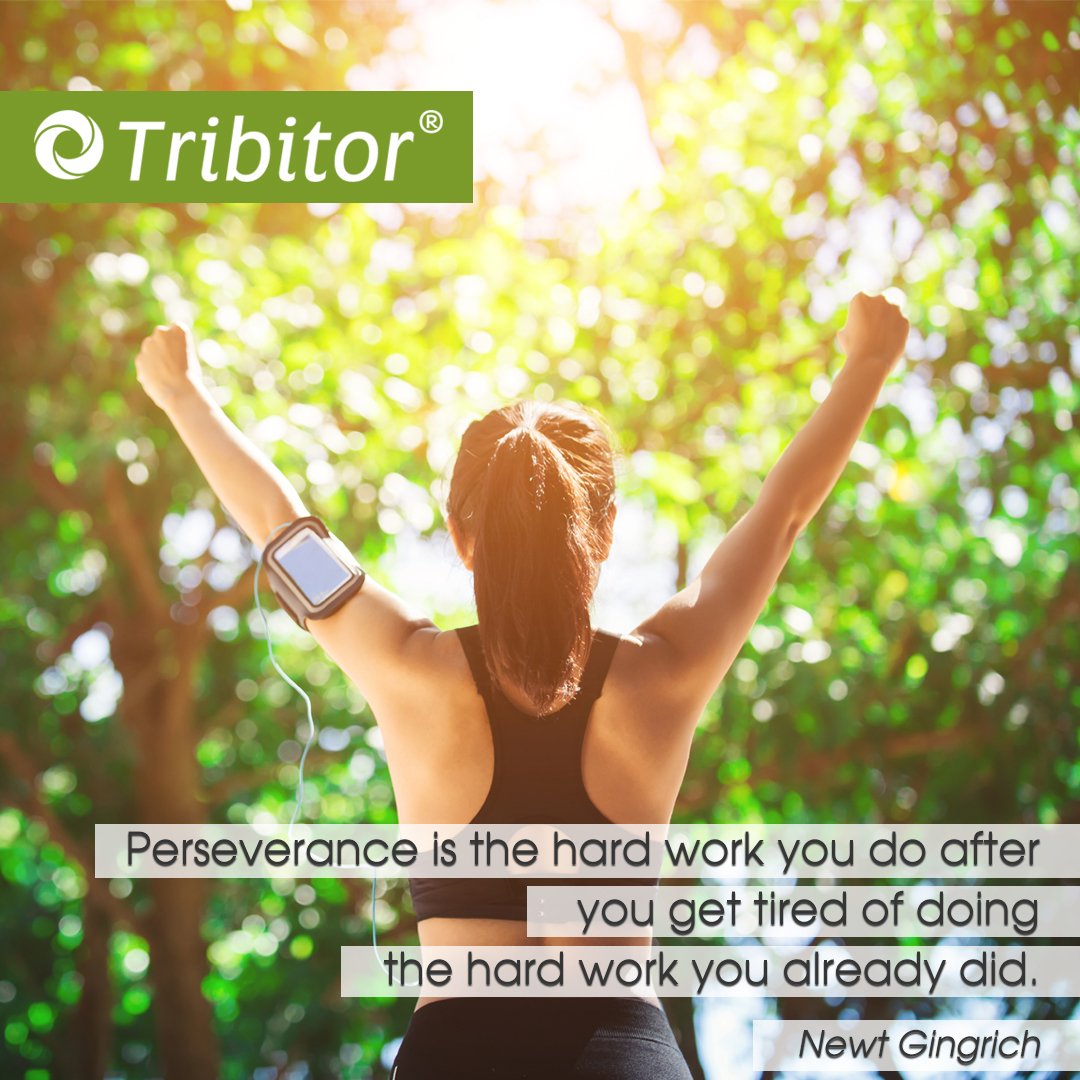 Tribitor's tweet photo. #WednesdayWisdom #InspirationalQuotes #fit #perseverance #staystrong #tribitor https://t.co/g9lDrNHqHF