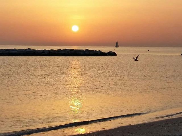 destinazionefan's tweet photo. Vi auguriamo una buona giornata con questa stupenda alba dorata πππ
.
.
π· @vilsonfrattini
.
.
#fano #destinazionefano #mare #sea #mareadriatico #spiaggia #beach #spiaggiadisassonia #alba #sunrise #fanodreamers #igersfano #viverefano #ilovefano #vol⦠https://t.co/5wKvsnD5Gi https://t.co/cxPyZhpUSu