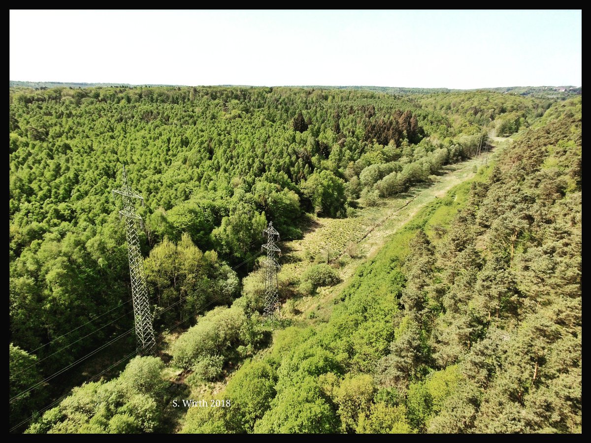wirthstef's tweet photo. #Valley with #wetlands in #Southwest #Germany. #May 2018. Copyrights #Stefan #F. #Wirth
#drone #Saarland #quadcopter #flying #airperspective #birdperspective #Breeze #yuneec #forest #photography #landscape #flyingcamera #trees #treetrunks #forestground #woods #meadow #green #sky https://t.co/5aaWCinc4F