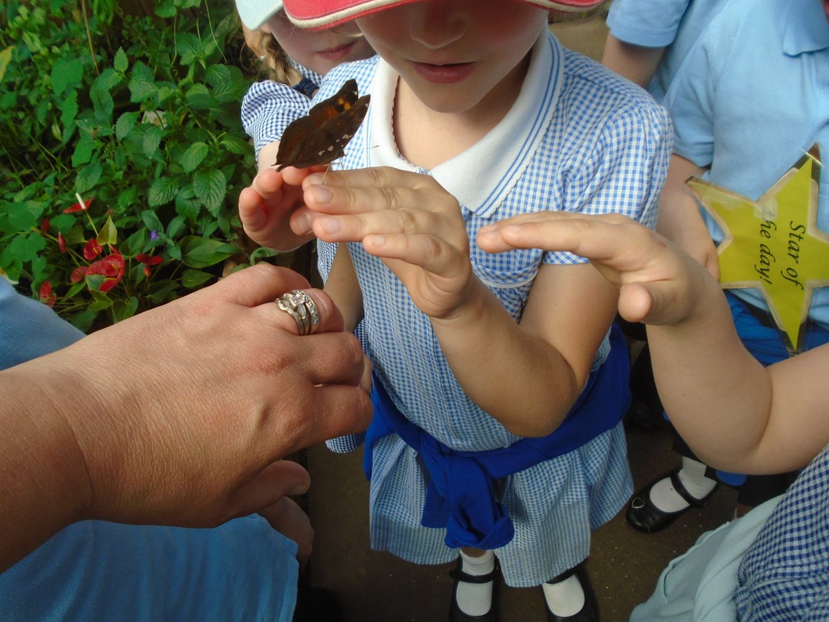 Leyburn School tweet media