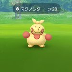 ポケモンgoで マクノシタ が話題に ポケgo トレンディソーシャルゲームス ポケモンgoで マクノシタ が話題に ポケgo トレンディソーシャルゲームス