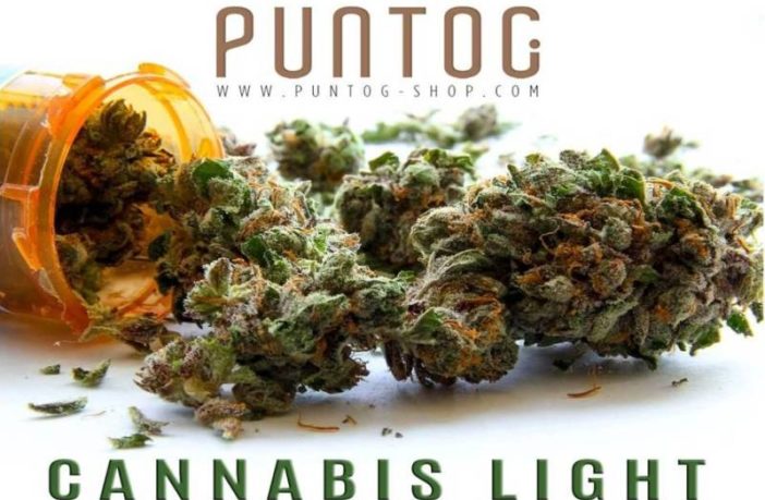 l_indro's tweet photo. L’ olio al CDB e i benefici effetti del cannabinoide più eccellente della cannabis legale
https://t.co/B68UlxpCz1
#lindro #9maggio https://t.co/wOHVP0rzXq