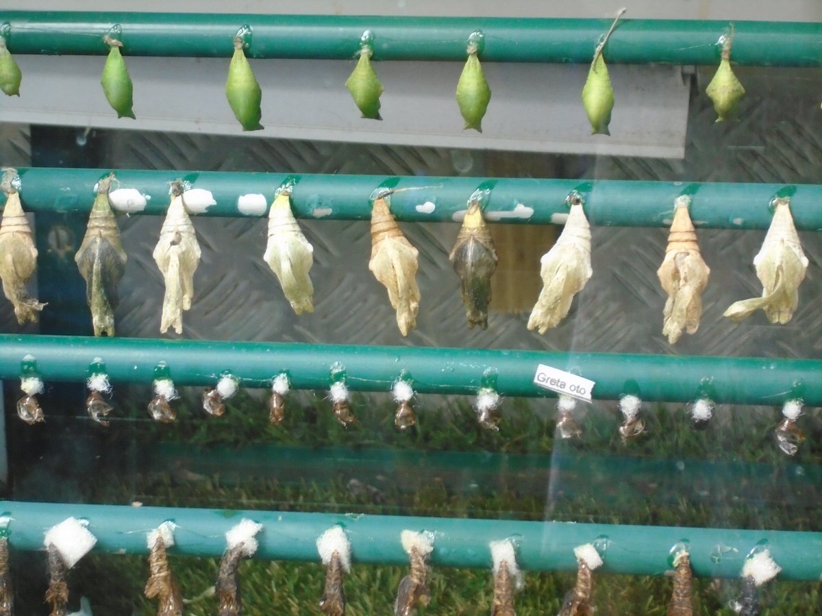 Leyburn School tweet media