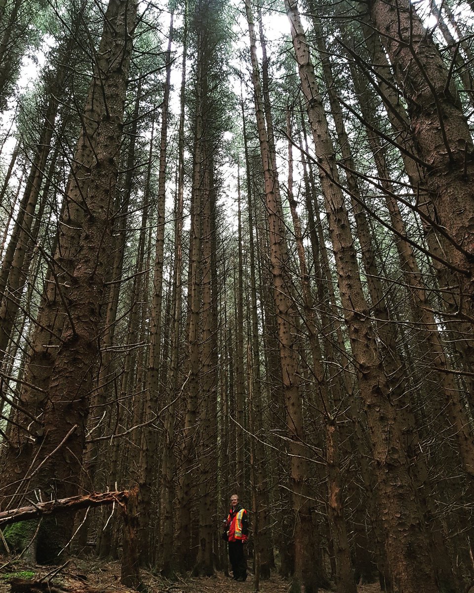 DGA_Forestry's tweet photo. Timber cruising... https://t.co/JWnCw4KOLi