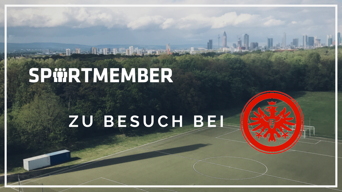 SportMember.de tweet media