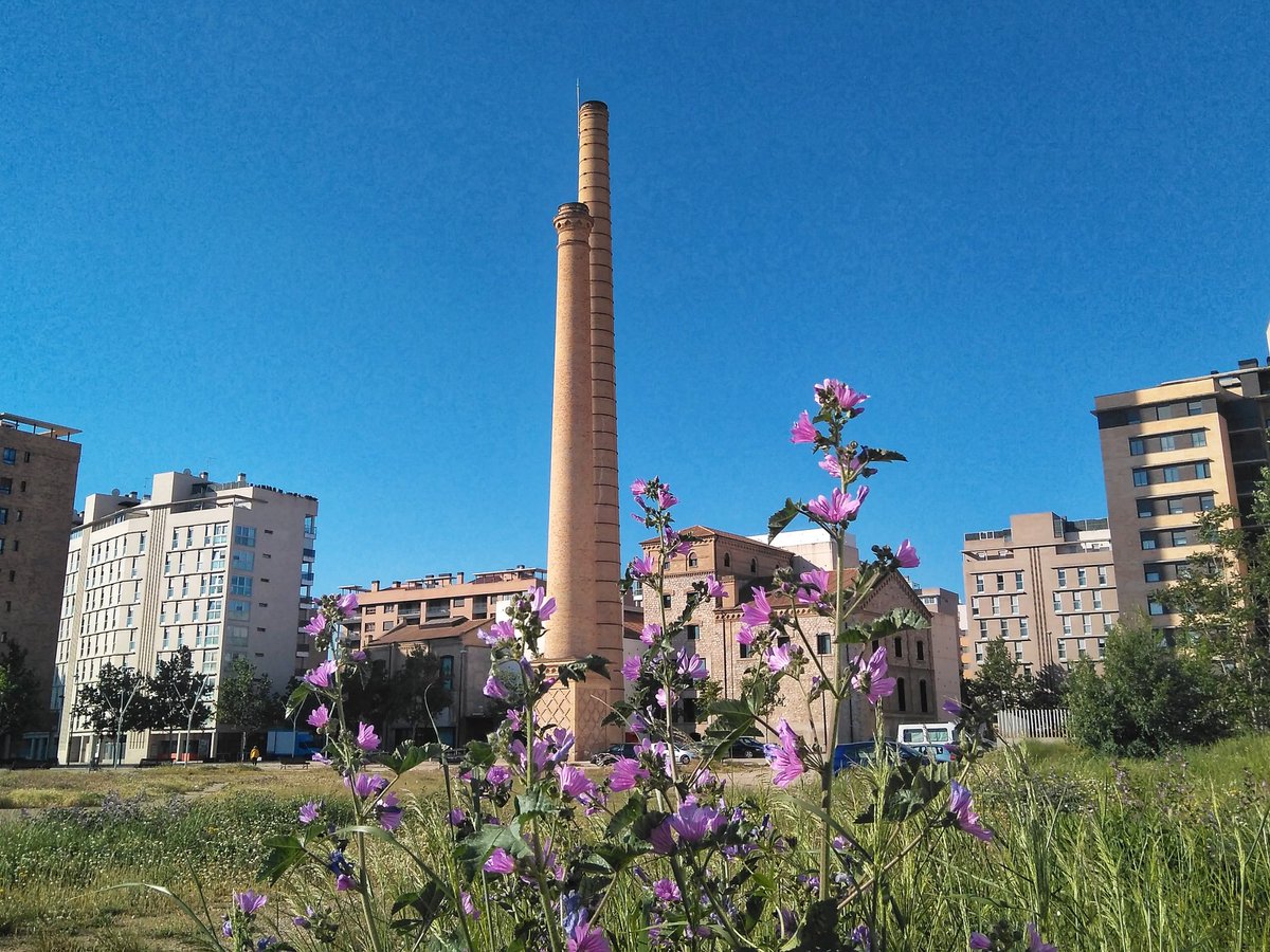 Sabika Creativa tweet media