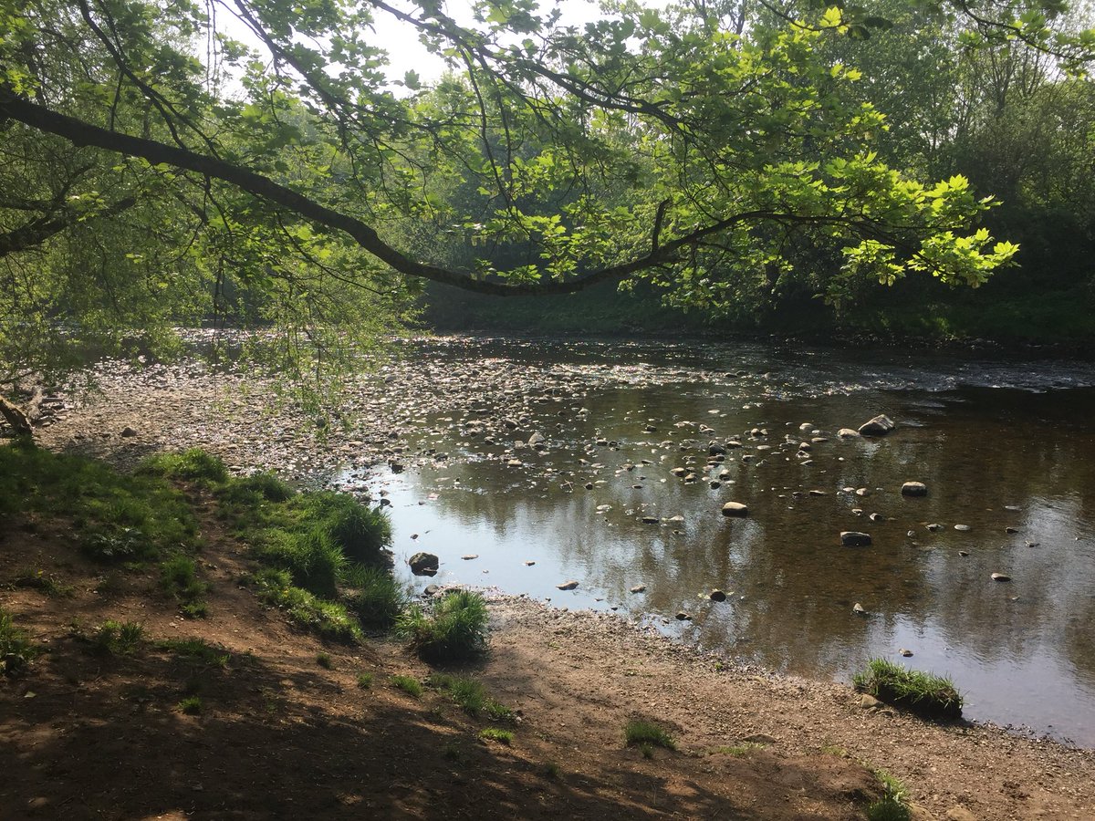 SapphireAckroyd (@sapphireeea) on Twitter photo Team ICS making most of the weather to get steps in! Some photos from a team members walk yesterday #stepupchallenge <a href="/LYPFT_HWB/">LYPFT Staff Health & Wellbeing</a> Team ICS making most of the weather to get steps in! Some photos from a team members walk yesterday #stepupchallenge <a href="/LYPFT_HWB/">LYPFT Staff Health & Wellbeing</a>