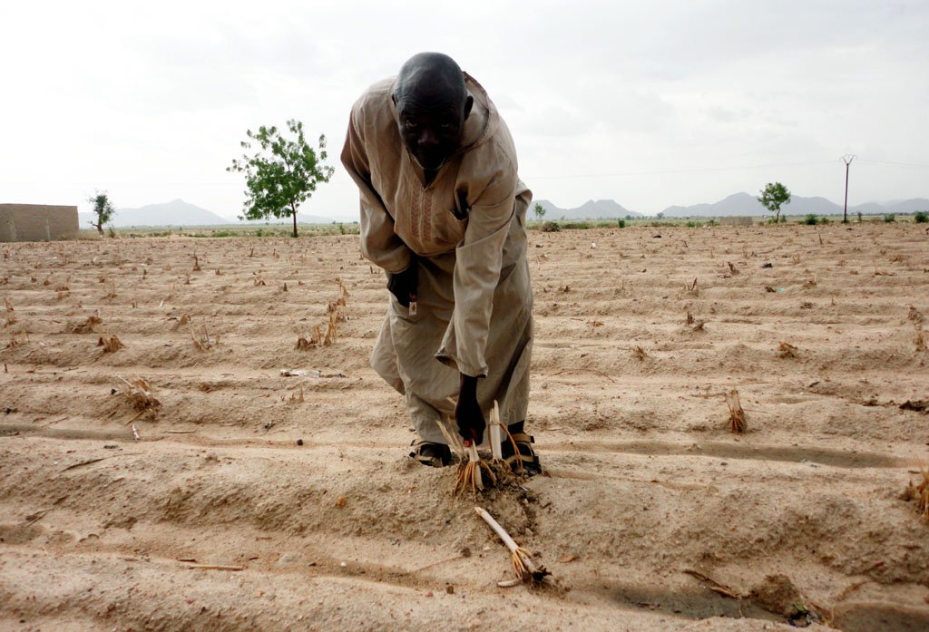 InitiativeFemCm's tweet photo. Retweeted Le Quotidien de l'Économie (@quotidieneco):

#Cameroun : 33 milliards FCFA pour financer l’agriculture dans le Grand Nord https://t.co/0DXObZvGza #TT237 https://t.co/jQ2bQtA0wY https://t.co/0DXObZvGza