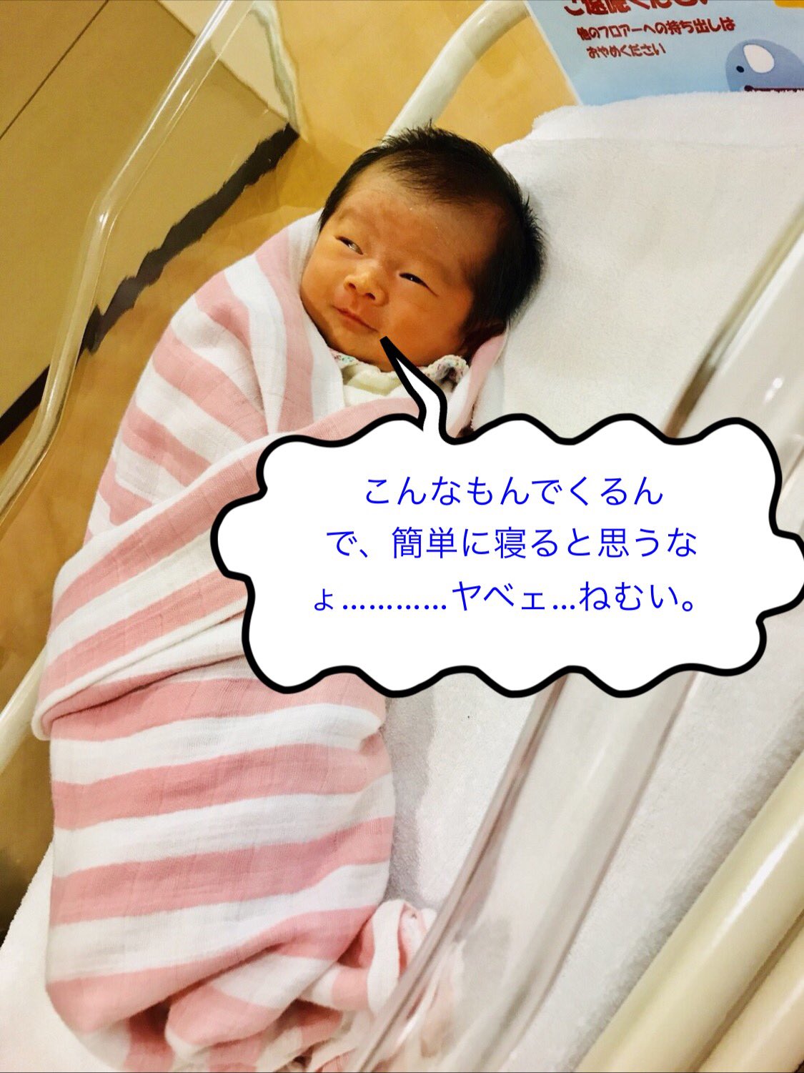 Twitter 上的 シャカ 大熊 それゆけ はなちゃん Vol 4 新生児 はなちゃん Baby 赤ちゃん 女の子 これでも女の子 娘 成長 どうみてもおっさん とはいえども目に入れても痛くない 愛娘 T Co E2smgornlt Twitter Twitter 上的 シャカ 大熊 それゆけ はなちゃん Vol 4 新生児 はなちゃん Baby 赤ちゃん 女の子 これでも女の子 娘 成長 どうみてもおっさん とはいえども目に入れても痛くない 愛娘 T Co E2smgornlt Twitter