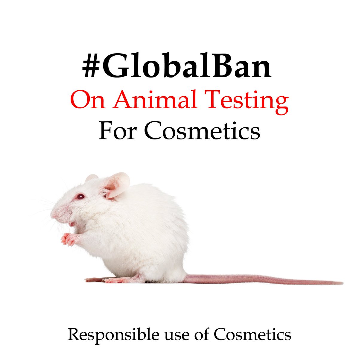 GREAT NEWS: European Parliement have voted to adopt a resolution supporting a global ban on cosmetic testing on animals. #animaltesting #euparliament #vote #MEP #globalban #cosmetictesting europarl.europa.eu/news/en/headli…