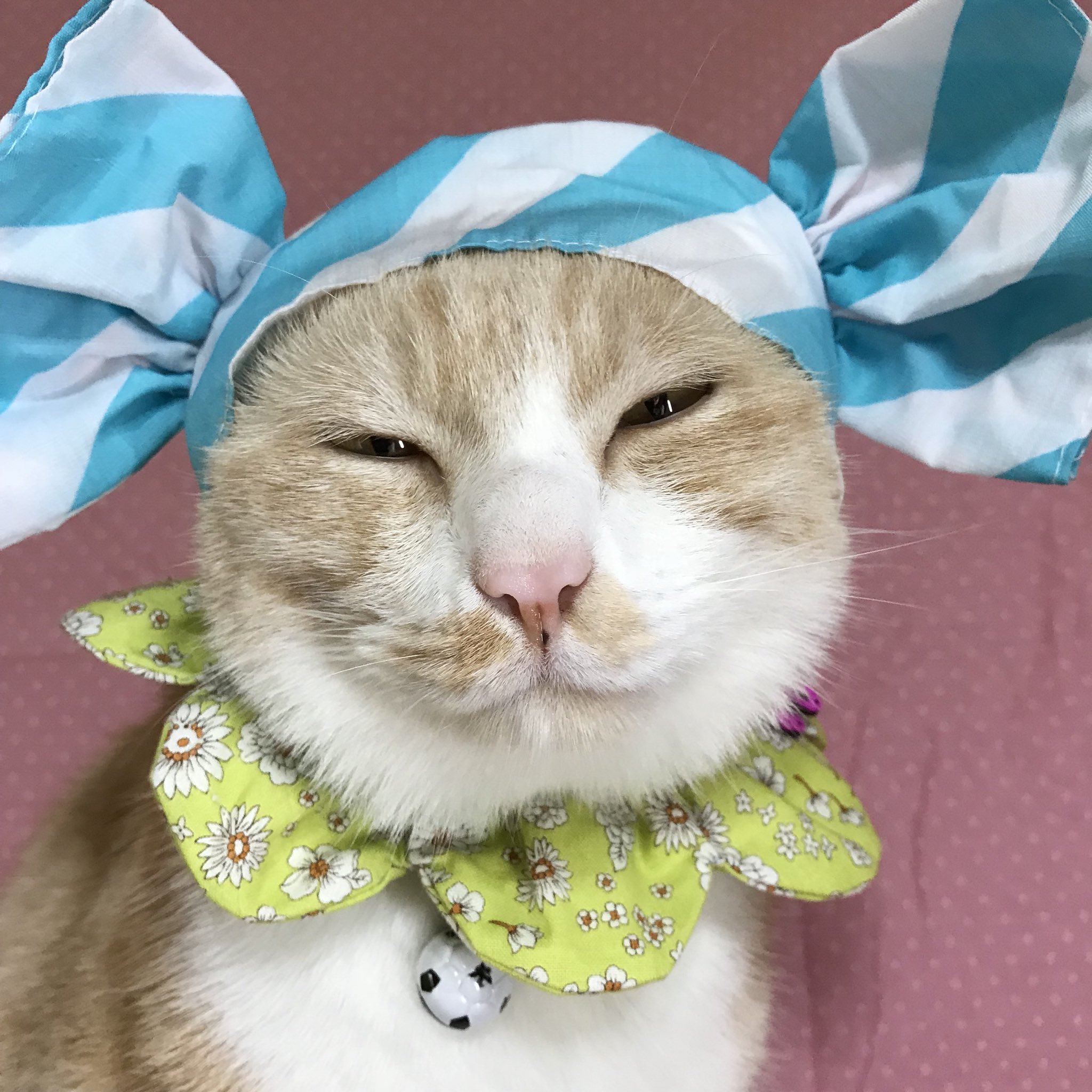 笑い猫 Twitter Search Twitter