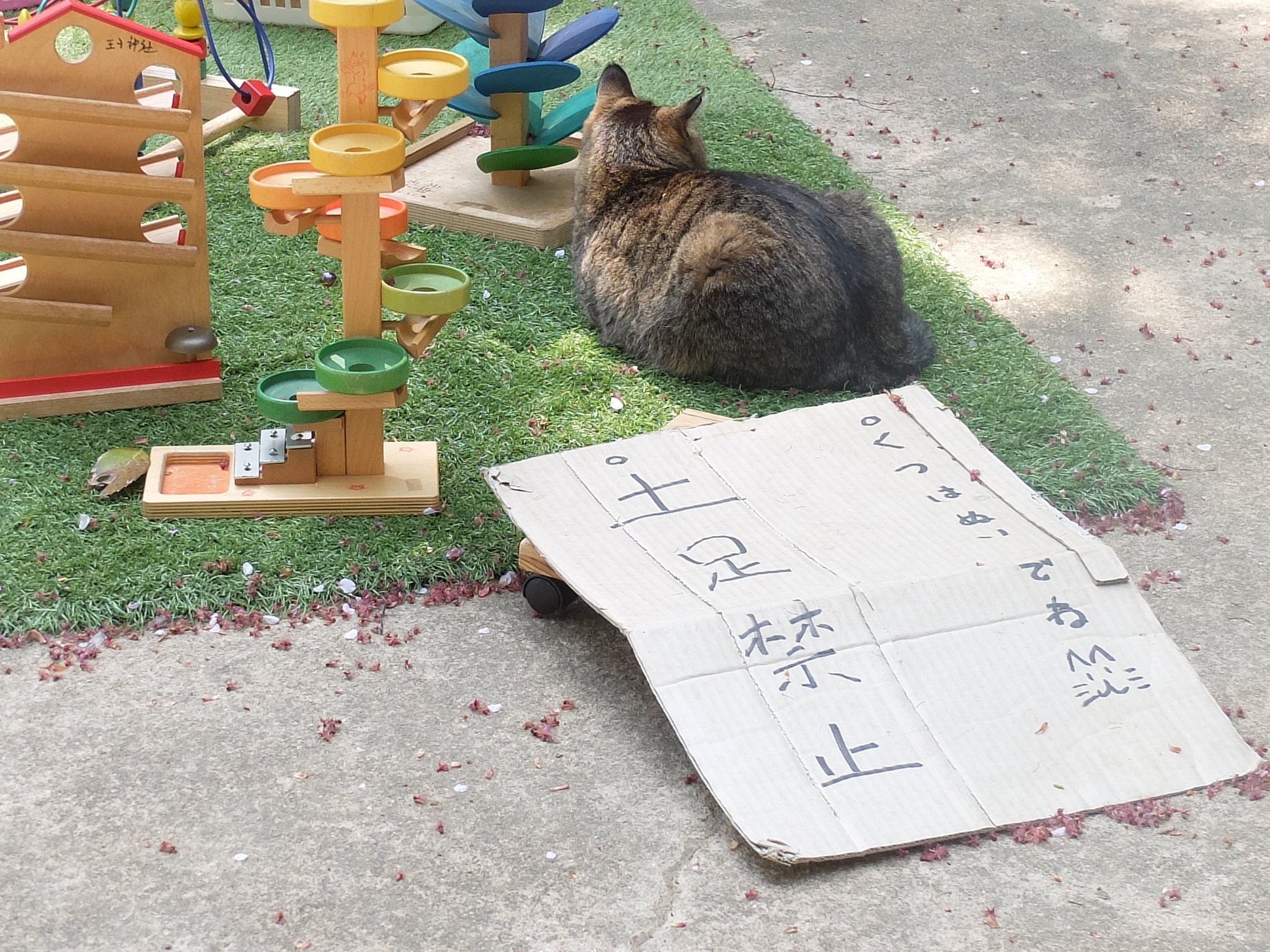 はちべえ 猫神さん 王子神社 文化の森内 4月に行った時にはなぜか神社内で地酒数種の試飲ご自由でした 願掛け鈴は神社裏にあります 王子神社 猫神さん 徳島市 はちべえ 猫神さん 王子神社 文化の森内 4月に行った時にはなぜか神社内で地酒数種の試飲ご自由でした 願掛け鈴は神社裏にあります 王子神社 猫神さん 徳島市