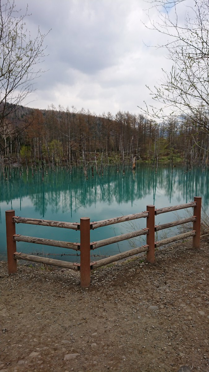 Hideconomori8 行ってみたかった 北海道 青い池 曇り空だったので こんな感じでした 明日は曇りのち雨のようなんですが もう1度 見たいと思います 関ジャニ 元気が出るcd特典dvdロケ地 青い池