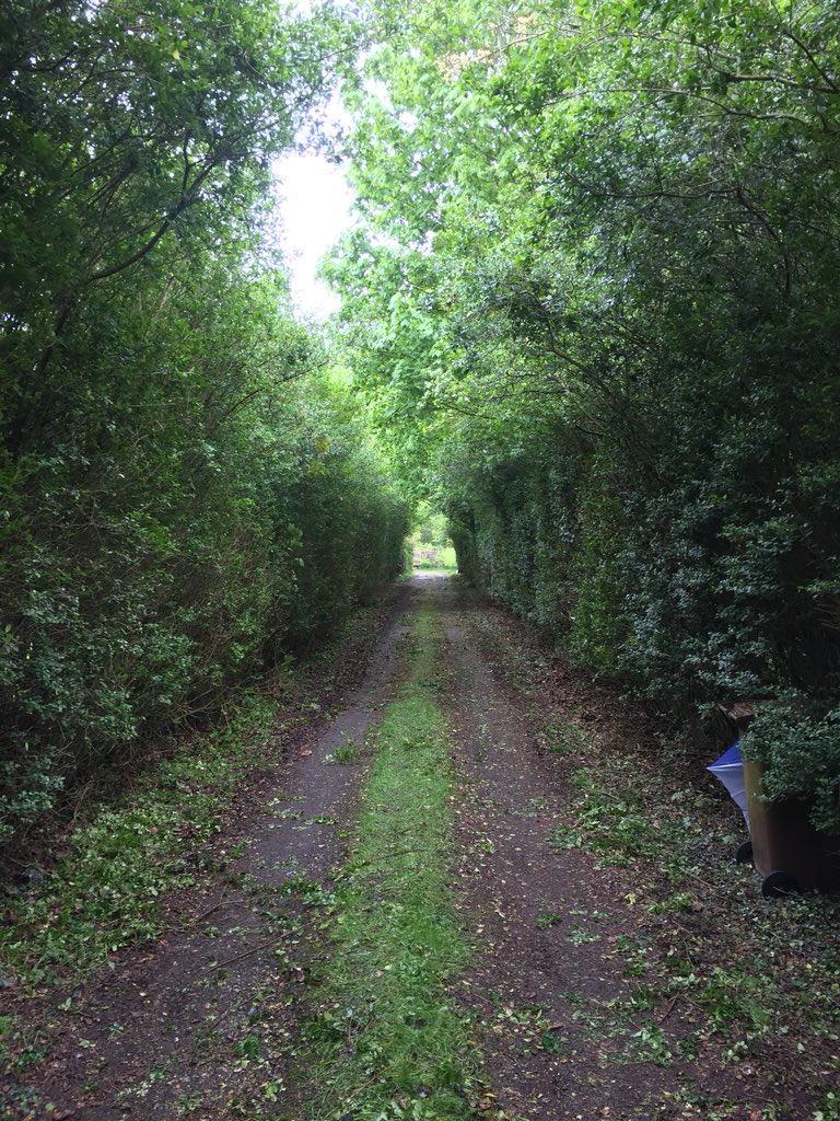 Haine Tree Services tweet media