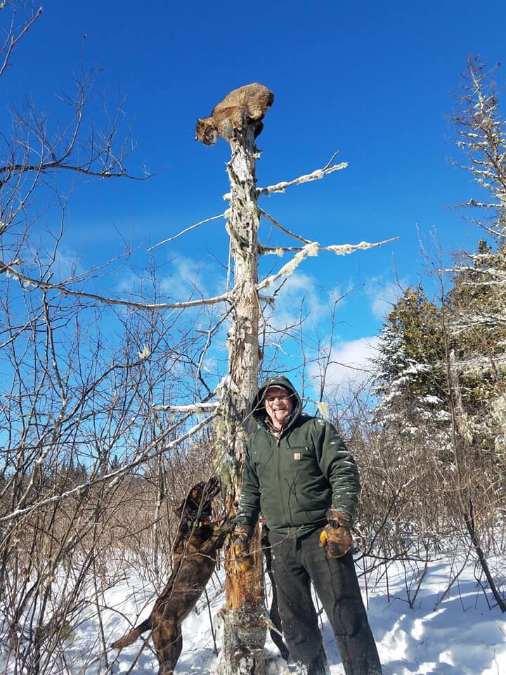 Freja_Petersen's tweet image. I want to weep....This poor cat must be terrified....Nowhere to go...death moments away....and all this guy is waiting for is the photo opportunity before the trophy is his. And they wonder why we hate them so much

#BanTrophyHunting 
#ExposeTrophyHunting

facebook.com/10603745040388…