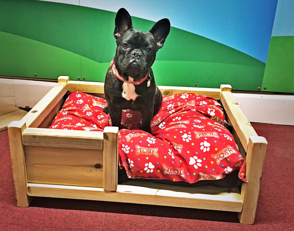 We just know you'll love this dog bed made with high quality timber. Want to treat your dog with a lovely little home? Purchase on eBay today: bit.ly/2qrKaF0 #Leicester