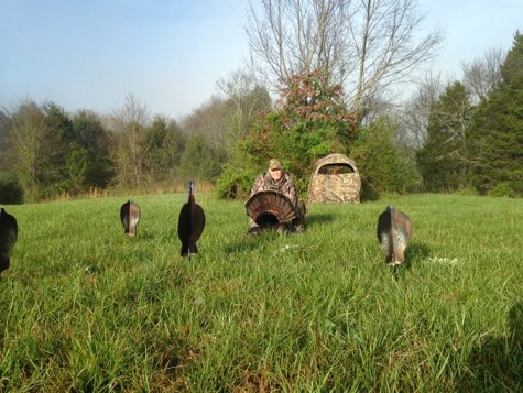 Stevenhinson5's tweet photo. RETWEET AND FOLLOW for a chance to win a Sentinel turkey flock, Jake and three hens. Turkey Man approved!! Ends 5/13/18 🦃🦃🦃 https://t.co/DTdB3jY4n8