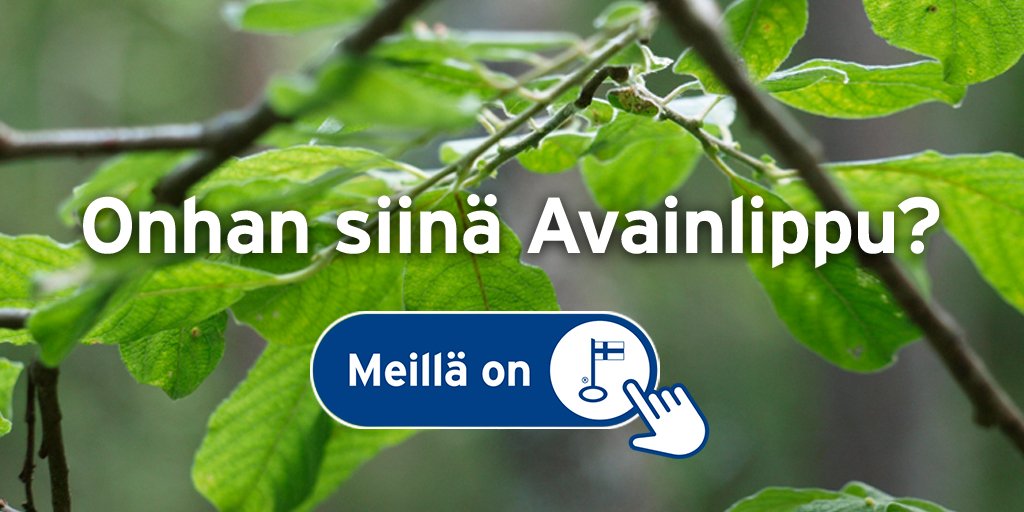 Innolux on mukana #onhansiinäavainlippu -kampanjassa. Kampanjan myötä haluamme muistuttaa sinua kotimaisen työn merkityksestä tuotteidemme taustalla. Muista siis tuotetta ostaessa tarkistaa, että onhan siinä Avainlippu #avainlippu #suomalainentyö #innoluxdesign #homeofgoodlight