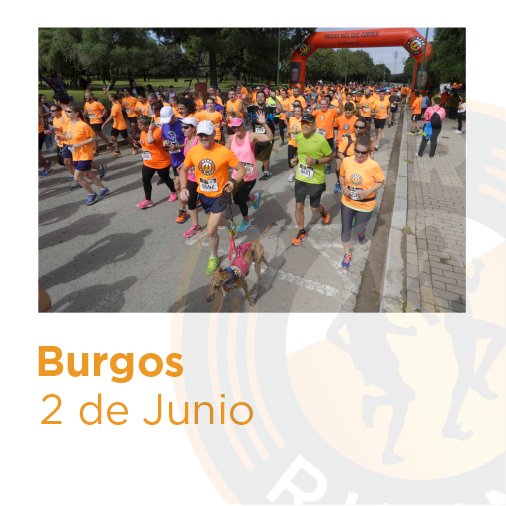 BeerRunners_Bu's tweet photo. ¡Ha llegado el momento! La ciudad de Burgos acogerá el próximo 2 de junio la primera carrera #BeerRunners de este 2018. ¡Reservad la fecha y atentos, porque el lunes abrimos las inscripciones en nuestra web! https://t.co/mhy5C0KLLo