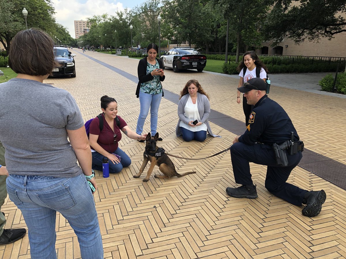 UT Austin Police Department tweet media