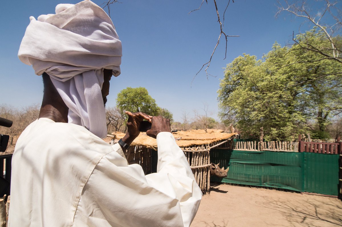 AfricanParks's tweet image. "Let us protect the rhinos, they disappeared from Chad a long time ago - now we celebrate their return! Let us rise, stand up and protect the rhinos!"  One of many heartfelt messages welcoming rhinos to their new home poured in from local communities in Chad.