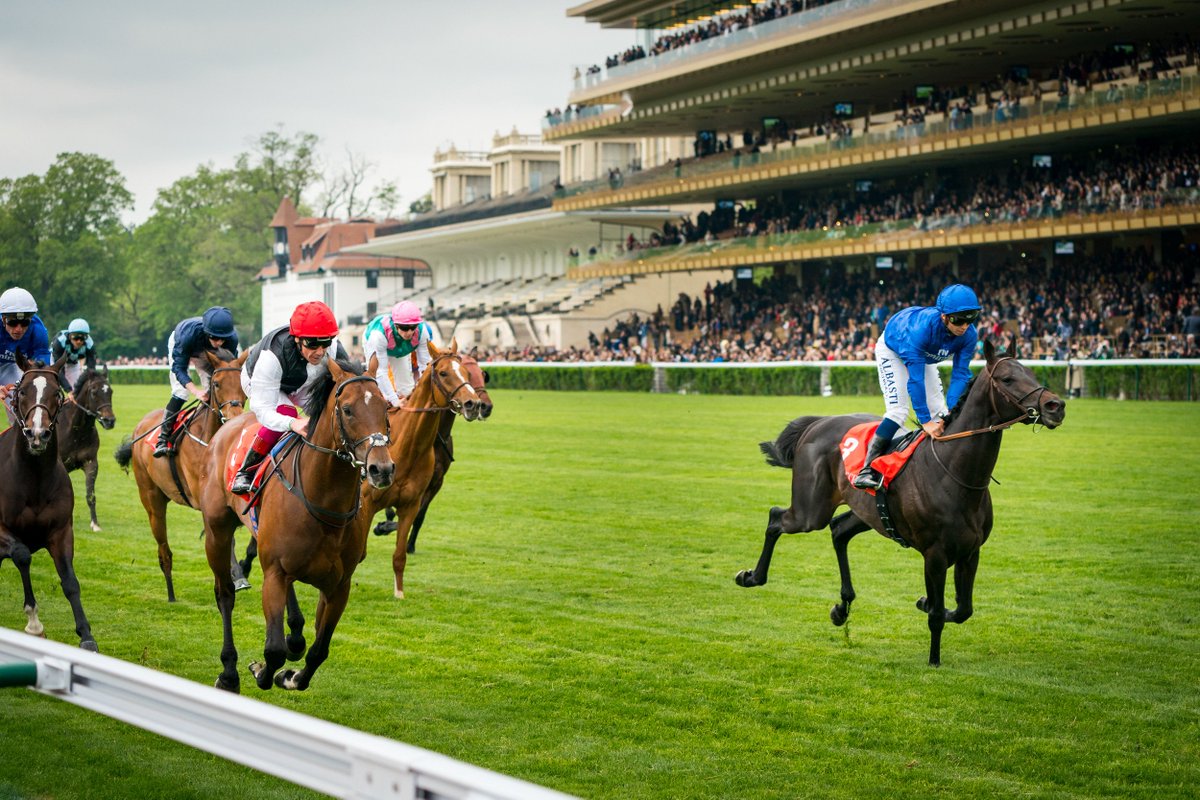 francegalop's tweet photo. [Qatar Prix de L'Arc de Triomphe 2018] Focus on the 95 entries registered today👉https://t.co/dNfIZdJjhu #QPAT #ArcQuest https://t.co/GJ7tFABFKt