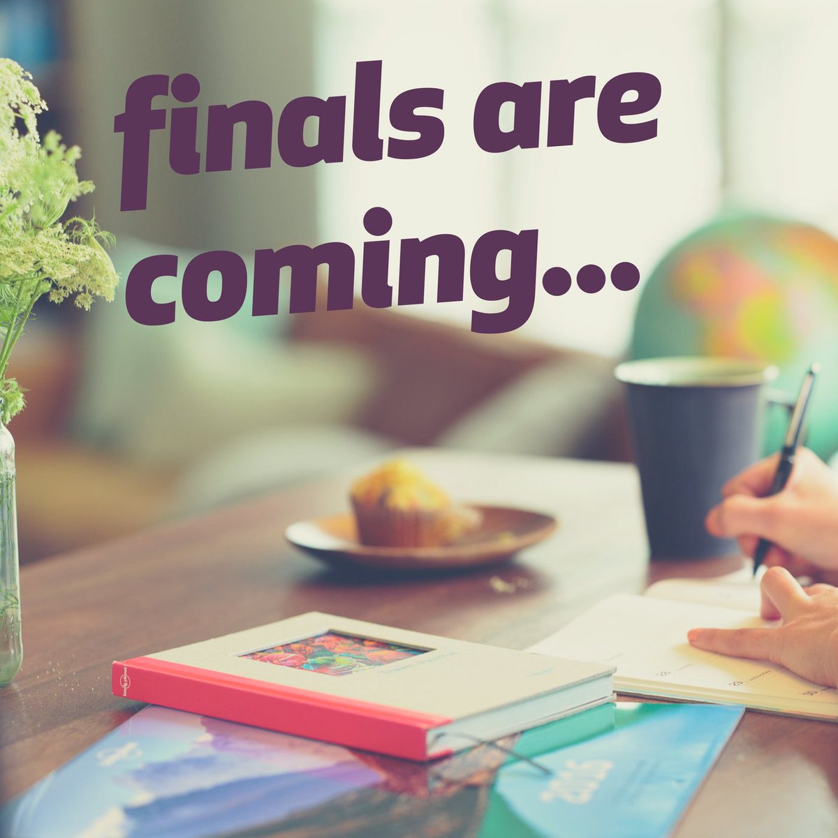 Studio Green tweet media