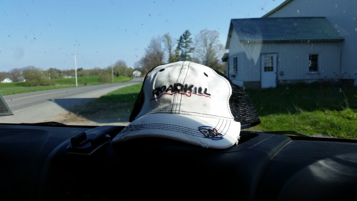 SarahtiredofNY's tweet image. Inspired by #Roadkill 
Imitation =🖒
#becauseRoadkill