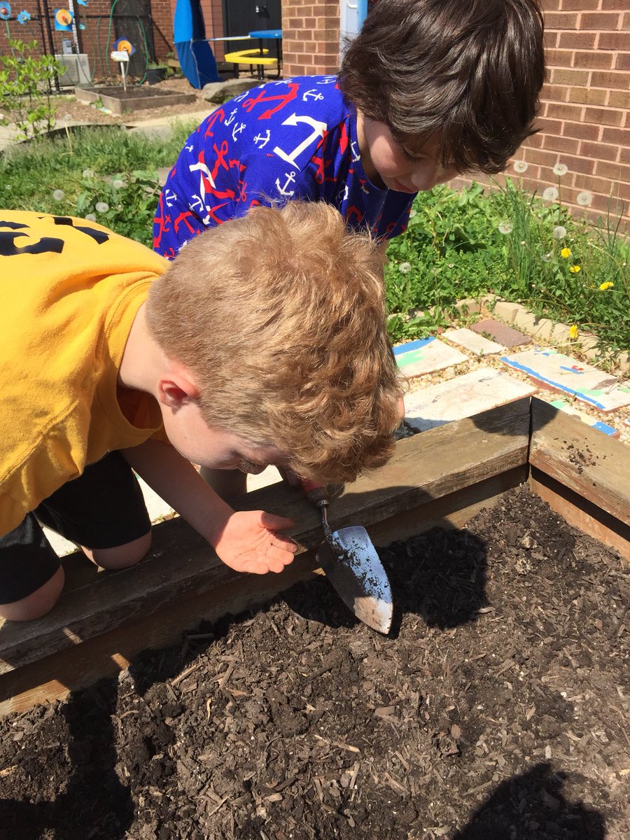 ErikaHerman14's tweet photo. Beautiful day to plant radishes in the courtyard!@Hillcrest_BCPS @JenMLynch @HESCourtyard @bolander_maria @c1shaw https://t.co/uTJqOVIXmz