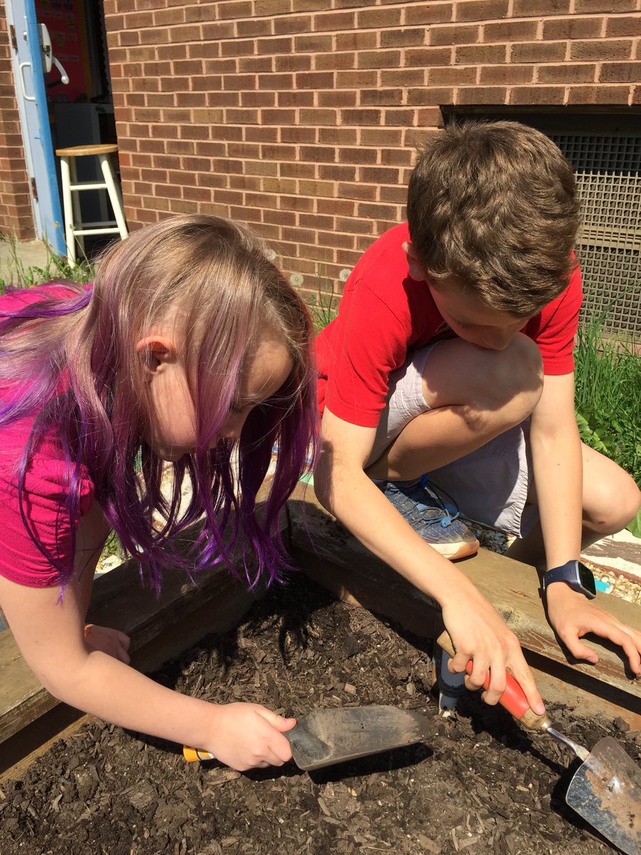 ErikaHerman14's tweet photo. Beautiful day to plant radishes in the courtyard!@Hillcrest_BCPS @JenMLynch @HESCourtyard @bolander_maria @c1shaw https://t.co/uTJqOVIXmz