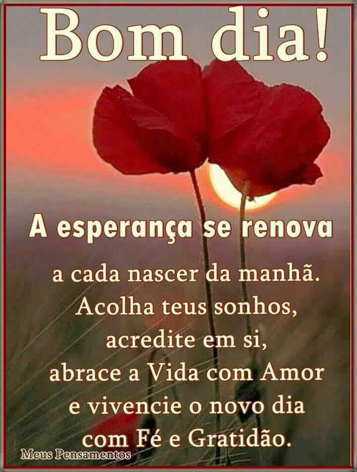 Inajara Rosa Cruz (@InajaraRosaCru2) / Twitter Inajara Rosa Cruz (@InajaraRosaCru2) / Twitter