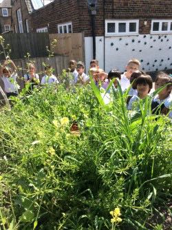 HPA_Philip_Lane's tweet image. Leon Class said an emotional farewell to our butterflies this afternoon! We have loved watching them grow from tiny little caterpillars into stunning butterflies, hopefully they will come back to visit our beautiful blooming playground soon! #HPAPLLeon #letsexplore