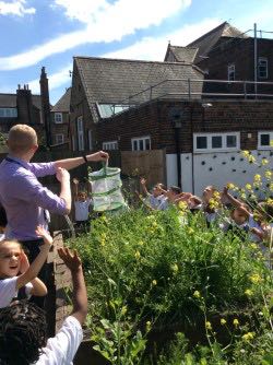 HPA_Philip_Lane's tweet image. Leon Class said an emotional farewell to our butterflies this afternoon! We have loved watching them grow from tiny little caterpillars into stunning butterflies, hopefully they will come back to visit our beautiful blooming playground soon! #HPAPLLeon #letsexplore