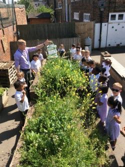 HPA_Philip_Lane's tweet image. Leon Class said an emotional farewell to our butterflies this afternoon! We have loved watching them grow from tiny little caterpillars into stunning butterflies, hopefully they will come back to visit our beautiful blooming playground soon! #HPAPLLeon #letsexplore
