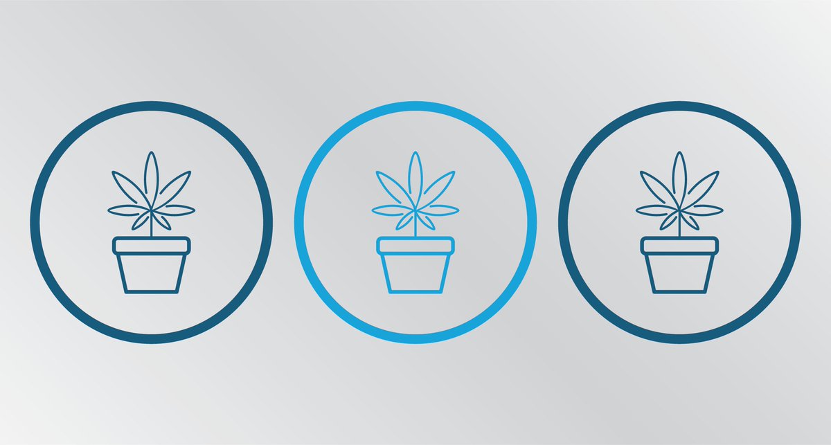 n6krma's tweet photo. Calling all #PR Account Coordinators! In our Cannabis team, you experience something new every day. Up for the challenge? Apply now!  https://t.co/KEj8bEYpjH https://t.co/wU3UfFi1wV