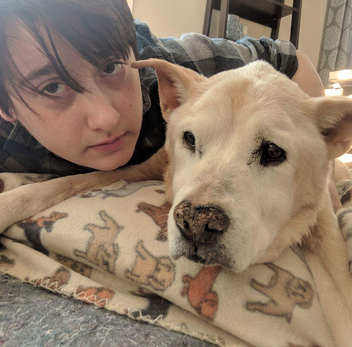 df_lutefisk's tweet photo. Here's a pic of me and the old duffer during our last few hours together. Poor guy was ready. https://t.co/Yrb4lZvYB0