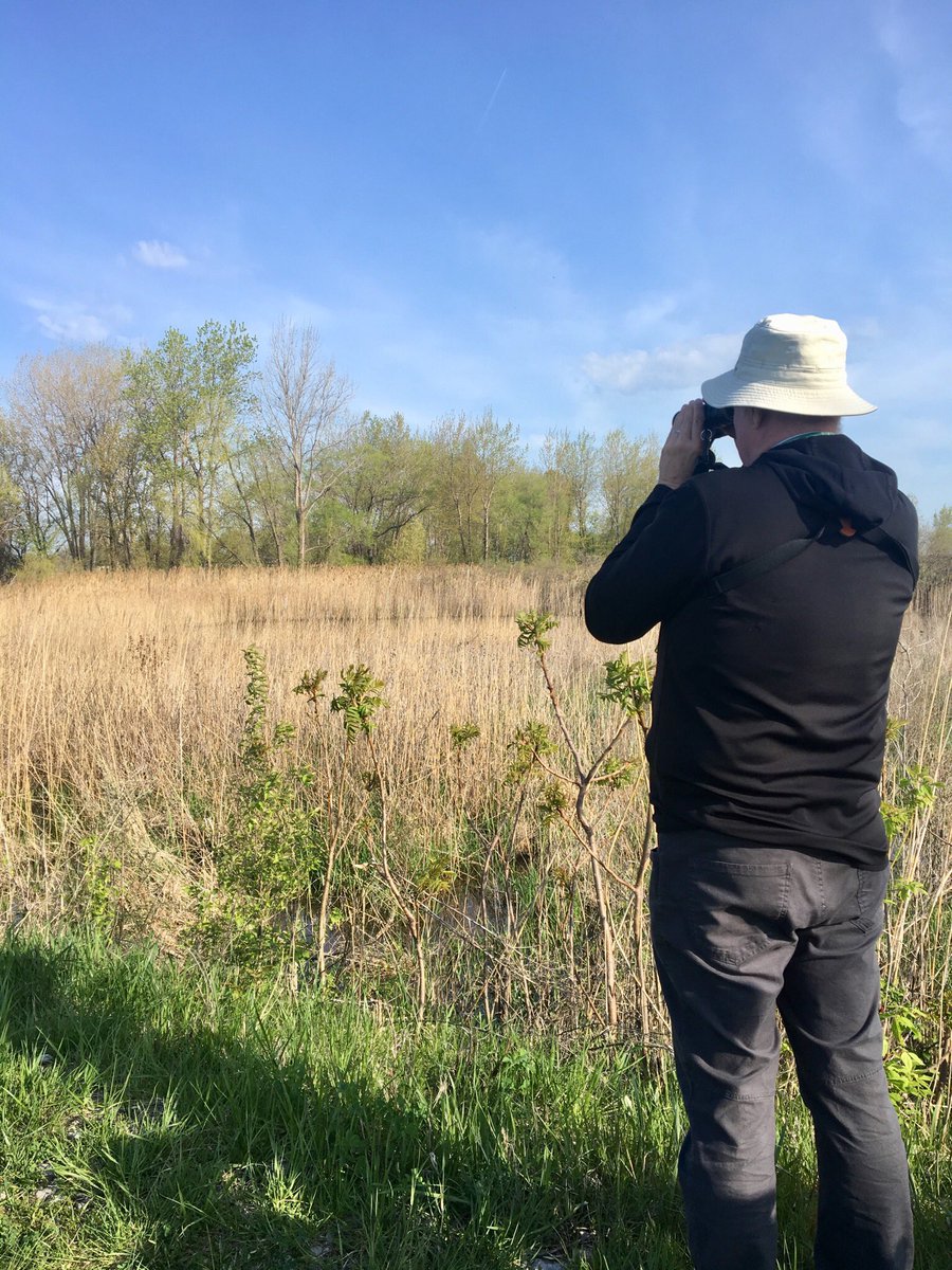 cityofsandusky's tweet photo. Did you know that Pipe Creek is one of the most popular bird watching places in the area? Check it out sometime!! 🦅🌿🐦🌾 #MegansWorld https://t.co/7weEyUxP8n