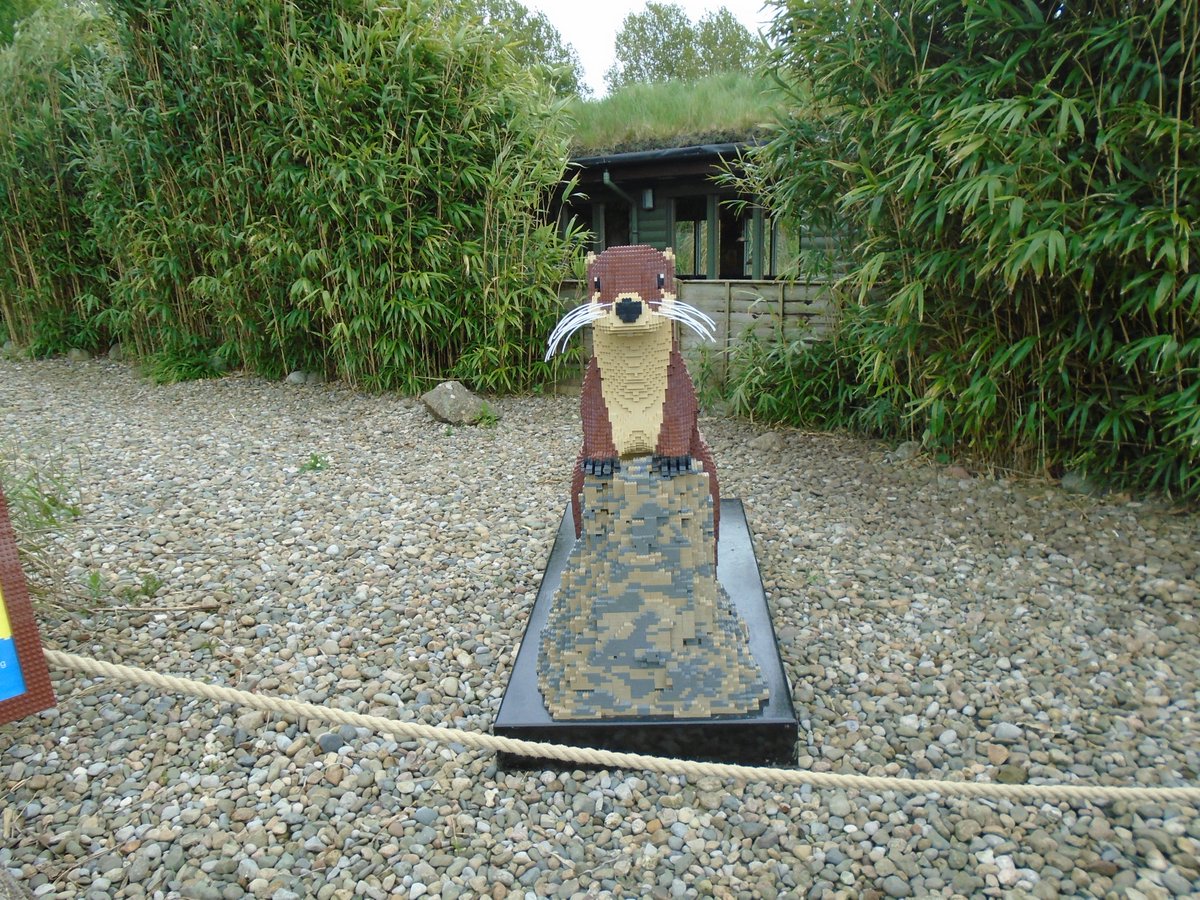CLPSyr1's tweet photo. Year 1 have had an amazing day on our school trip to Martin Mere! Thank you so much @WWTMartinMere . We especially loved the Lego animals. We didn't want to leave at the end of the day. https://t.co/mJhEmcbfjI